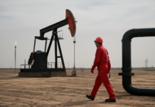 China, el freno inesperado del precio del petróleo