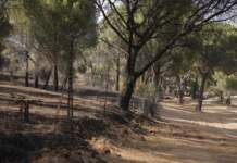 La Comunidad de Madrid simplificará el tratamiento de residuos tras incendios forestales