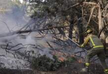 Plan de Recuperación del Paisaje en 17 municipios tras incendios en Sierra Oeste