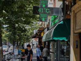 Advertencia de salud: olas de calor en Europa impulsan enfermedades infecciosas