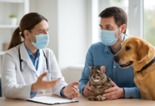 Cómo prevenir enfermedades transmitidas por animales: consejos de Salud en el Día Mundial de la Zoonosis