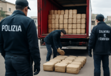 Descubren 113 kg de cocaína en un camión en Nápoles