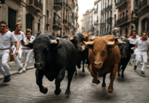 ¡Sexto encierro de San Fermín 2026 en vivo desde Pamplona: los toros de La Palmosilla!