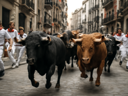 ¡Sexto encierro de San Fermín 2026 en vivo desde Pamplona: los toros de La Palmosilla!
