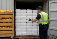 Descubren 120 kilos de cocaína en contenedor de frutas