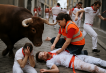 Séptimo encierro de San Fermín deja ocho heridos, cuatro en hospital