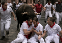 Séptimo encierro de San Fermín deja ocho heridos, cuatro en hospital