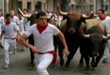 Impactantes imágenes: séptimo encierro de San Fermín 2026 junto a los temibles Miura