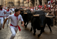 Impactantes imágenes: séptimo encierro de San Fermín 2026 junto a los temibles Miura