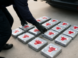 Descubren 213 kg de cocaína con logotipos de los Chicago Bulls