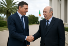 Sánchez busca solución en Argelia para crisis en el Sáhara y suministro de gas