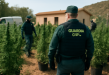 Desarticulan red de cultivo de marihuana en Águilas: seis detenidos