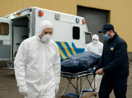 Fallece marinero con fiebre hemorrágica en Talcahuano: descartan ébola