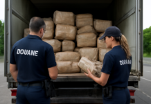 Descubren cargamento inusual en camión de español en Francia