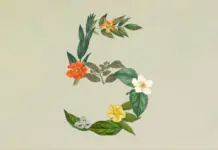 Anthropic sorprende con el nuevo Claude Sonnet 5: inteligencia artificial de alto rendimiento y a precios accesibles