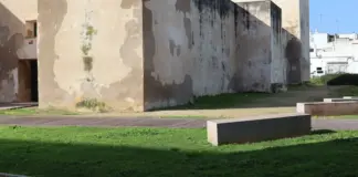 Fernando Muslera entre la leyenda y la duda image