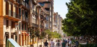 Fraude en el gasóleo bonificado sacude Mallorca image