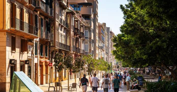 Fraude del gasóleo bonificado en Mallorca sacude al sector Fraude del gasóleo bonificado en Mallorca sacude al sector image