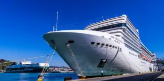 Hantavirus crucero contagios y visitas tras PCR negativa image
