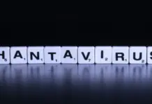 hantavirus mv hondius qué pasó y cómo evoluciona hantavirus mv hondius qué pasó y cómo evoluciona image