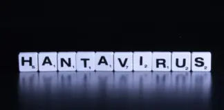 hantavirus mv hondius qué pasó y cómo evoluciona image