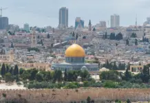 Hantavirus israel qué sabemos y cómo protegerte Hantavirus israel qué sabemos y cómo protegerte image