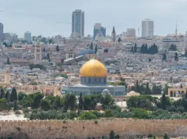 Hantavirus israel qué sabemos y cómo protegerte Hantavirus israel qué sabemos y cómo protegerte image