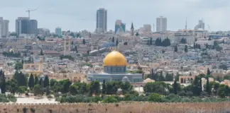 Hantavirus israel qué sabemos y cómo protegerte image