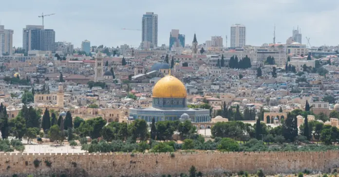 Hantavirus israel qué sabemos y cómo protegerte Hantavirus israel qué sabemos y cómo protegerte image