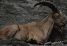 Ibex 35 hoy gana calma y mira ya los 14.000 puntos Ibex 35 hoy gana calma y mira ya los 14.000 puntos image