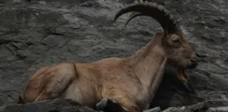 Ibex 35 hoy gana calma y mira ya los 14.000 puntos image