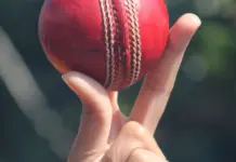 rajasthan royals vs delhi capitals standings suben rajasthan royals vs delhi capitals standings suben image