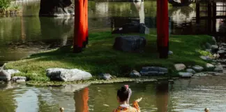 Japón - Suecia hoy en directo y con claves image