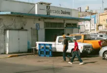 Miranda vuelve a mirar al mercado chino en 2026 Miranda vuelve a mirar al mercado chino en 2026 image