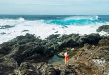 Quién va a ganar el mundial y por qué cambia todo Quién va a ganar el mundial y por qué cambia todo image