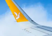Pegasus gana peso en servicios y mira a más valor image