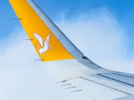 Pegasus gana peso en servicios y mira a más valor Pegasus gana peso en servicios y mira a más valor image