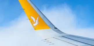 Pegasus gana peso en servicios y mira a más valor image