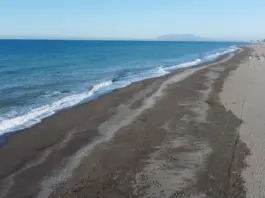 Diario Sur cierra playas en Málaga y explica el motivo image