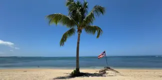 Puerto Rico impulsa oportunidades para gallegos image