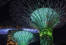 Singapur para viajar mejor entre futuro y sabor image