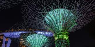 Singapur para viajar mejor entre futuro y sabor image