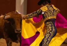 mundotoro mueve el pulso taurino hoy en Jerez mundotoro mueve el pulso taurino hoy en Jerez image