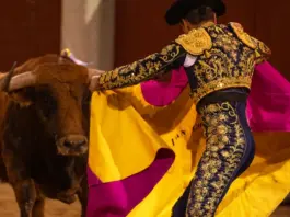 mundotoro mueve el pulso taurino hoy en Jerez mundotoro mueve el pulso taurino hoy en Jerez image