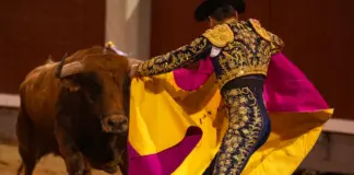 mundotoro mueve el pulso taurino hoy en Jerez image