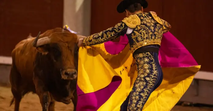 mundotoro mueve el pulso taurino hoy en Jerez mundotoro mueve el pulso taurino hoy en Jerez image