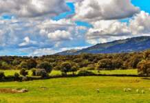 Alerta Extremadura qué hacer hoy por el temporal Alerta Extremadura qué hacer hoy por el temporal image