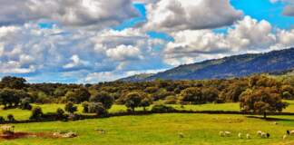 Alerta Extremadura qué hacer hoy por el temporal image