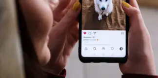 therian que es y por qué se han vuelto virales image