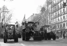 Tractorada 29 enero clave para el campo y Madrid Tractorada 29 enero clave para el campo y Madrid image